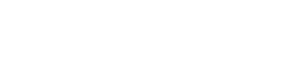 Logo Vixicom